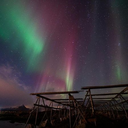 Fish Factory -The Real Lofoten Experience Ballstad Dış mekan fotoğraf